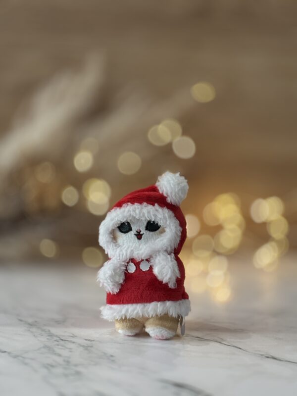 2025スマホカメラ講座