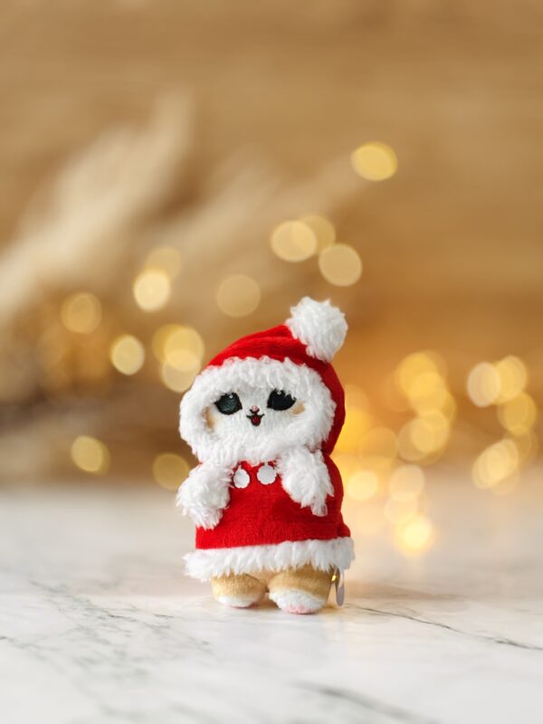 2025スマホカメラ講座